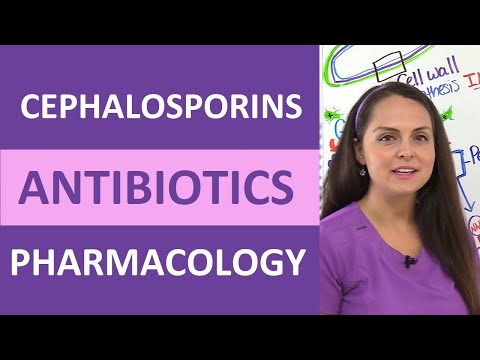 Video: Indeholder cephalosporin penicillin?