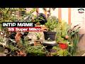 Mame SS Super Mikro