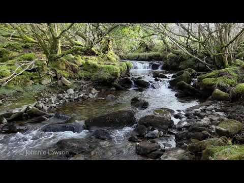 Short Relaxing Forest Waterfall Sound For Sleeping-Water Flowing-Calm Bird Song Noises Nature Sounds