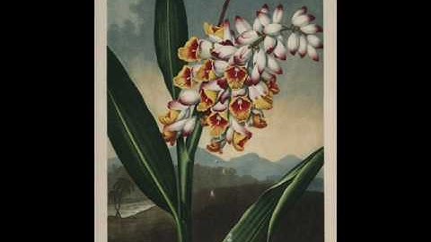 Center for Biodiversity Informatics