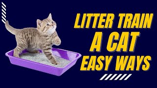 How To Train Your Cat To Use a Litter Box? Easy Proven Ways