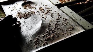 On Wood Wood Carving Wall Art Made With Hand Tools.