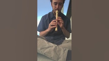 Licking A Soprano Recorder