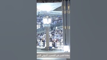 تلاوة بديعة من صلاة الفجر || سورة الحجر || احمد طالب