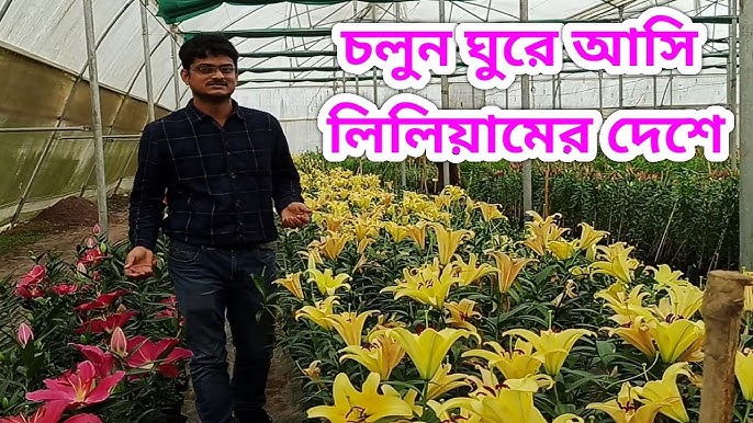 Erik va uning dostlari fohishalarni tahlil qilishadi