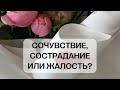 Сочувствие, сострадание или жалость?