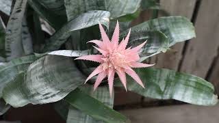 파주 가볼만한곳 가든센터 조인폴리아 Garden Center Joinfolia