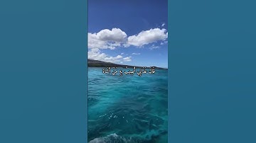 واتس اب قران كريم القارئ مشاري فالح (سوره الأعراف)