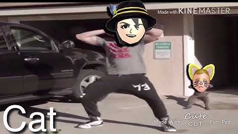 Miitopia jobs in a nutshell