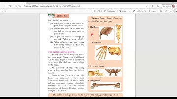 Std -6 Science Lesson No- 8 Our Skeletal System & the Skin Part- 1