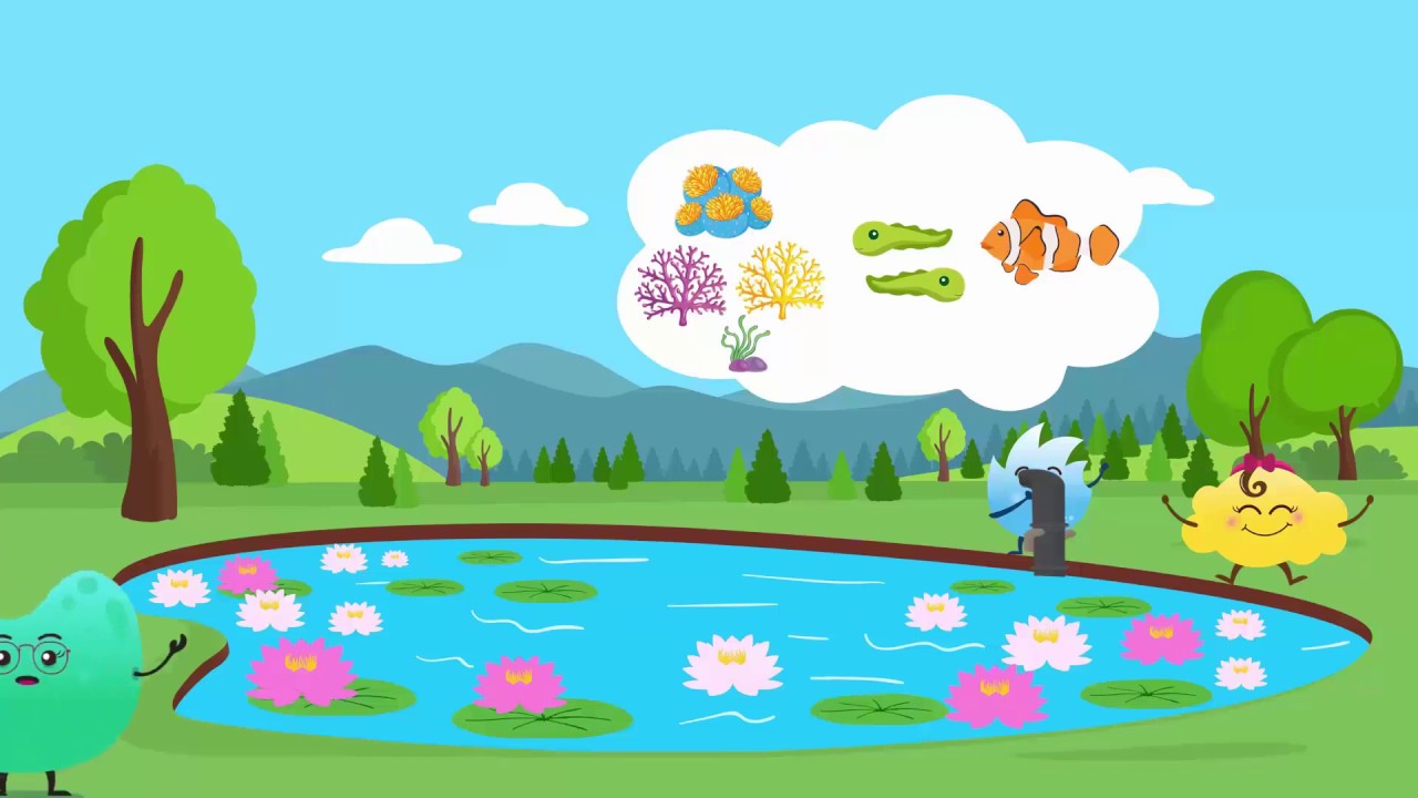 What is   Law of Reflection ---  Reflection---   Taleem Ghar .Tele School