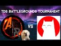 Tds battlegrounds tournament semifinals andrewtheruff vs crazycatperson