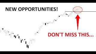 Technical Analysis of Stocks: SPY / QQQ / NVDA / TSLA / AMD / PLTR / SOFI / GOOGL Net Worth