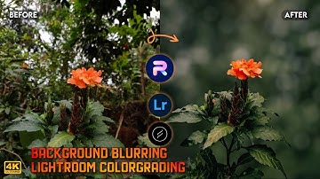 How to Blur Image Background and Flower Moody Photo Editing in Lightroom | PhotoRoom Editing