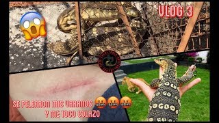 VLOG 3 COMO SACAMOS LOS SALVATOR SÚPER HY?? PELEA DE DRAGONES 😱😱😱!!!!!