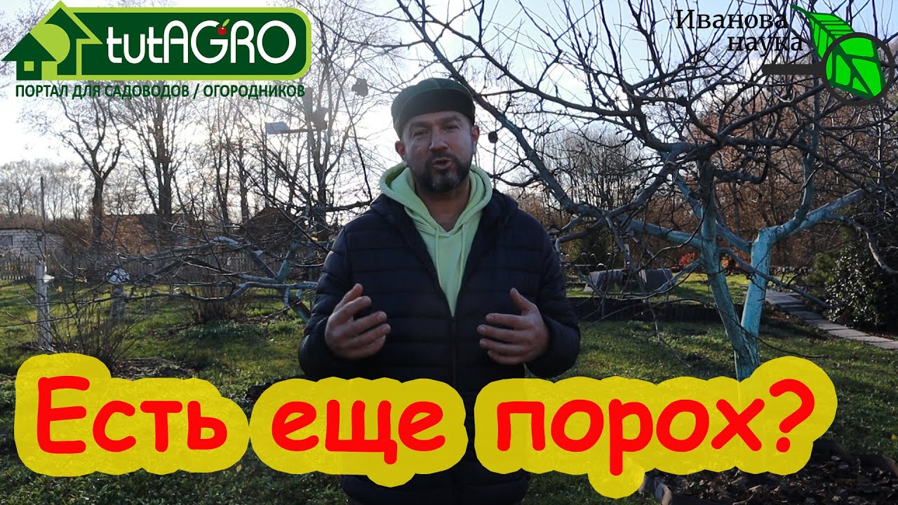 Нужные и важные работы в саду и огороде поздней осенью. Доделываем, что ещё не успели.