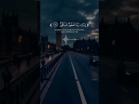 وقالوا الحمد لله الذي أذهب عنا الحزن سورة فاطر الشيخ هادي آل عسكر قران كريم