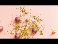 梓みちよ ランデヴー