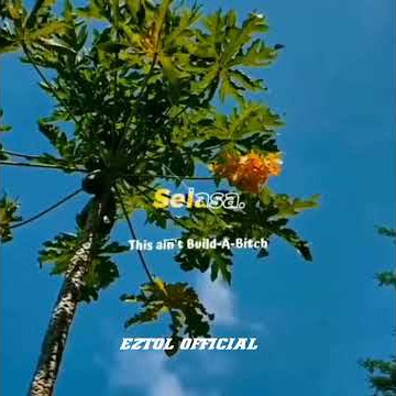 Story WA 30 detik !! Story WA QUOTES terbaru !! 2021/2022