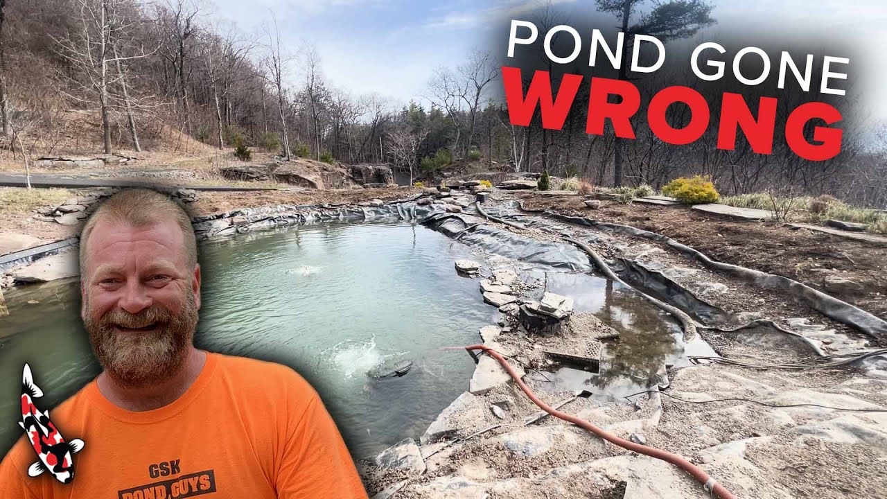 Saving a Pond That FAILED (Only a Year Old!) - YouTube