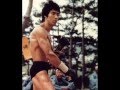 Bruce Lee Muscular Fitness