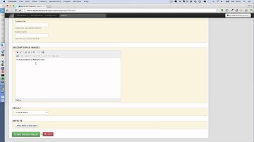 Creating a report with the Agile NDT Reporting System