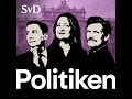 Carl Bildts underrättelseförslag – ny myndighet eller mer kaos?