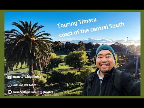 Vídeo: Por que o timaru é famoso?