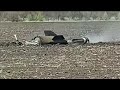 На Дніпропетровщині ЗСУ збили ворожу ракету з ПЗРК «Ігла»