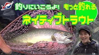 【つりにいこうよ。】もっと釣れるネイティブトラウト！