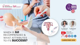 When is IUI Recommended & What Attributes to Its Success?