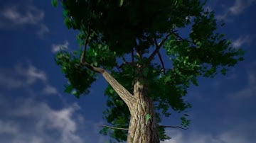 Realistic Tree Scene Workflow for Unreal Engine