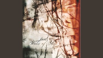 2 robots sitting in a ditch hiding from robots (feat. Arielle Interligi)