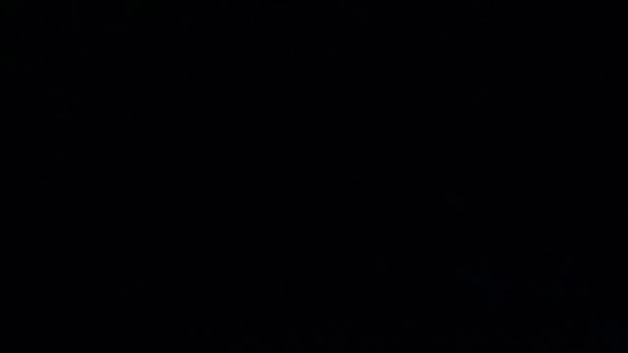 Lilies buildups and very rapid sneezing 🤧