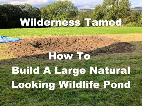 How to Build a Large Wildlife Pond: Easy Steps & Tips