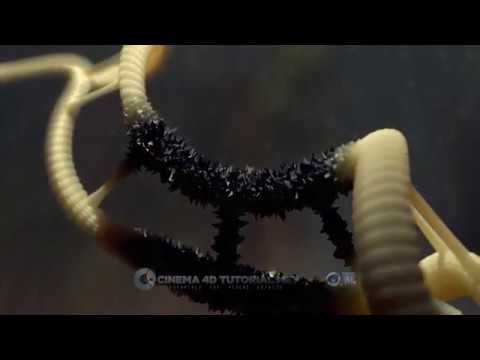 Morph textures tutorial cinema 4d