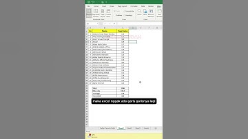 HILANGKAN GARIS KOTAK-KOTAK DI EXCEL #excel #exceltips #exceltutorial #exceltricks #word