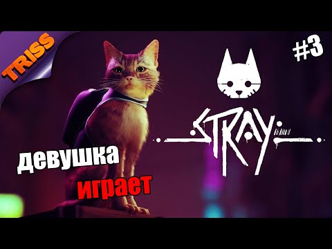 Видео: Девушка играет Stray 2022 (часть 3)