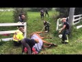 Horse Rescue by Maple Ridge Fire Department