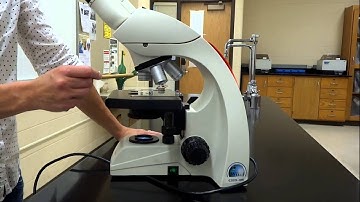 Lab 2: Part 2 - How to use a microscope