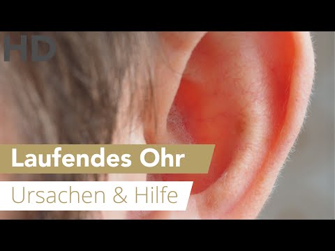 Video: Ohrwurmbiss: In Ihrem Ohr, Symptome Und Bilder