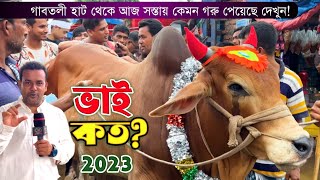 আজ সস্তায় গরু কিনলেন ক্রেতারা! ভাই কত? গাবতলী গরুর হাট 2023
