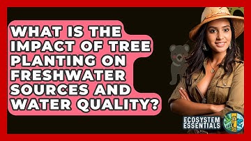 What Is the Impact of Tree Planting on Freshwater Sources and Water Quality? - Ecosystem Essentials