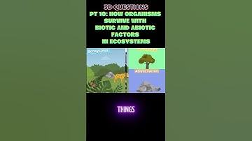 PART 10 : 3-D Questions from STEAMspirations: Biotic & Abiotic Factors in Ecosystems 🌿