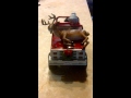 grandma got run over by reindeer