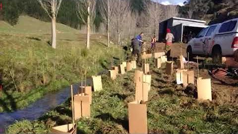 EmGuards™ installation guide