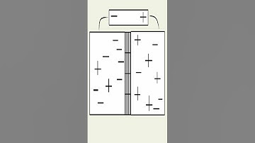 How does a capacitor work? 💡⚙️