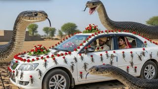 Sonunda Gelin Arabasına Gelen Gizemli Yılan Kadın İlahi Bir Azap Mı?