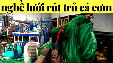 Lưới rút trủ, đánh cá cơm