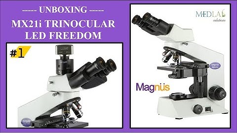 MX21i trinocular led freedom model part 1